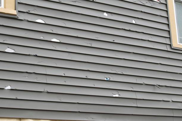 Best Wood Siding Installation  in Dorothy, NJ