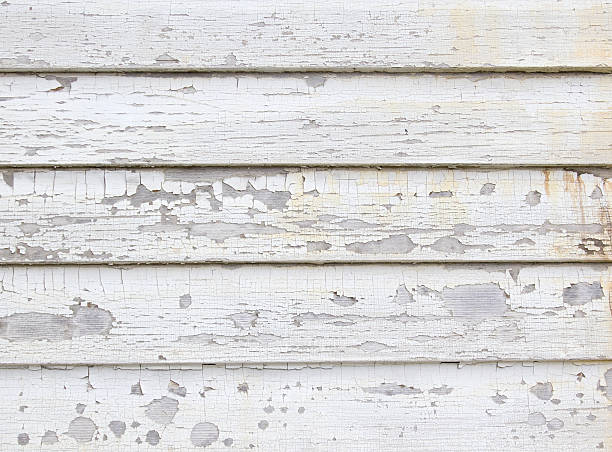 Best Historical Building Siding Restoration  in Dorothy, NJ