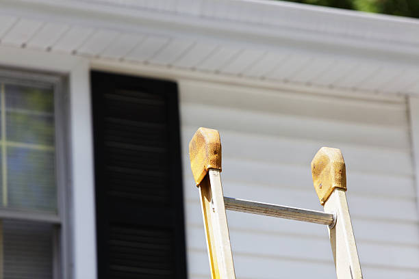 Best Residential Vinyl Siding Installation  in Dorothy, NJ